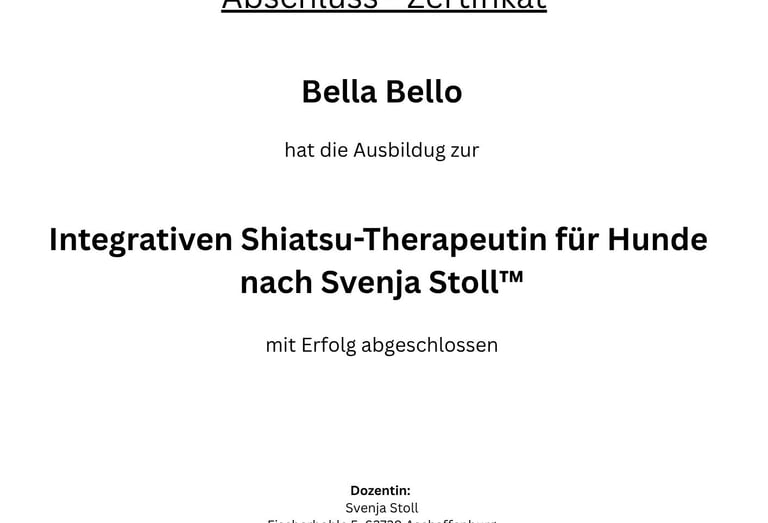 Ein Bild von einem Abschlusszertifikat