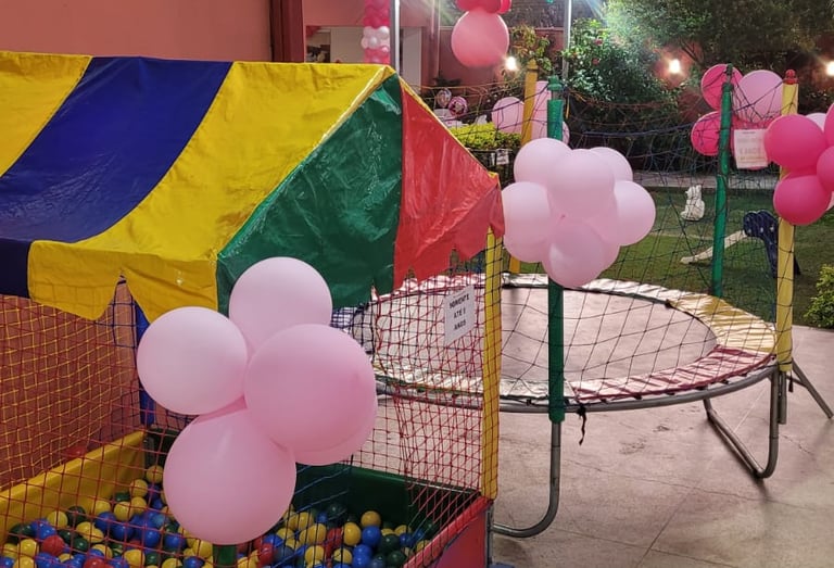 Oferecemos 3 brinquedos no pacote básico, mas temos outros briquedos