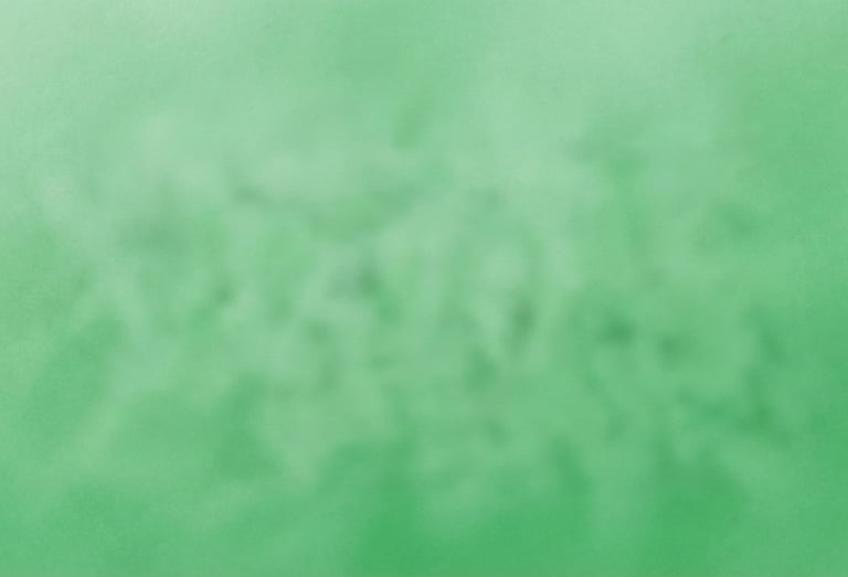 a person holding a surfboard in the ocean