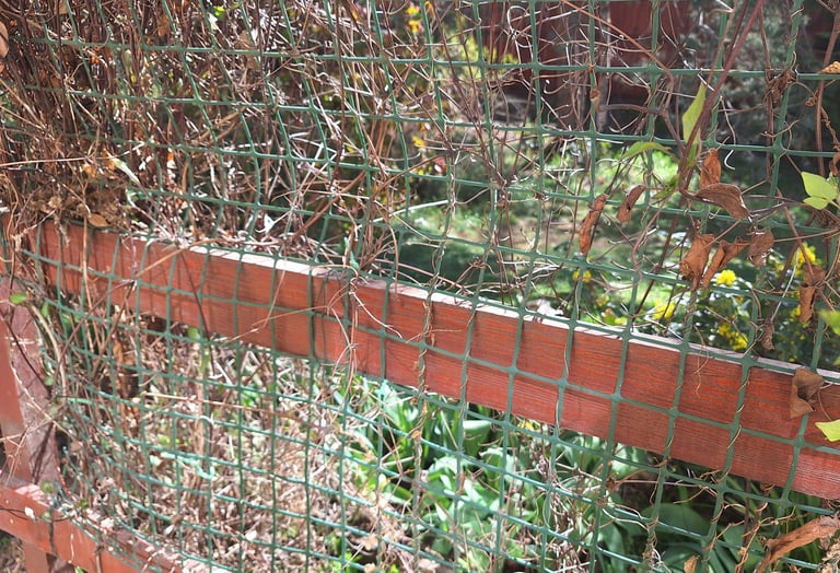 a strong fence we put up in our garden