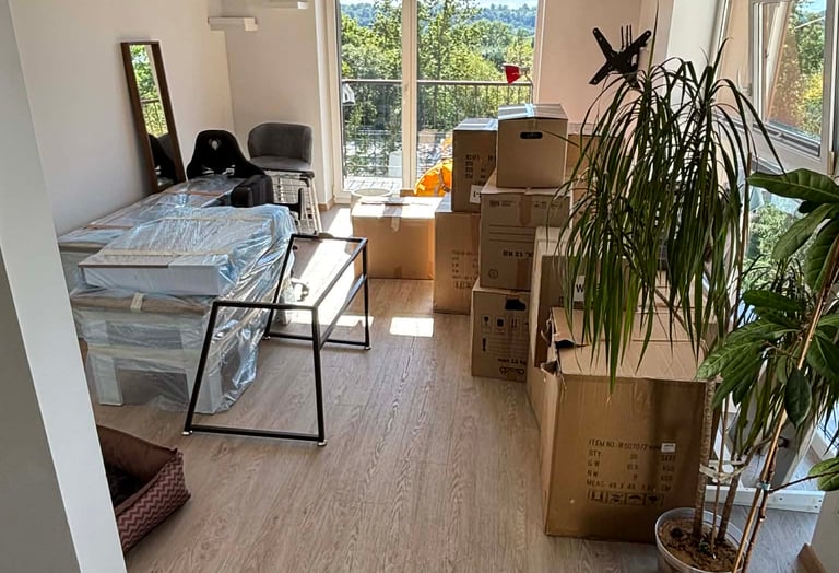 Buto perkraustymas su supakuotomis dėžėmis Kaune