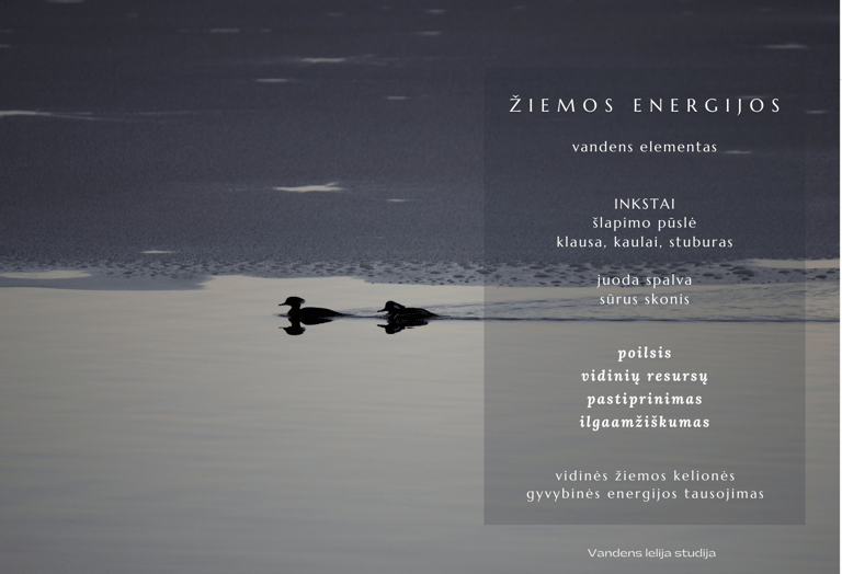 žiemos energijos