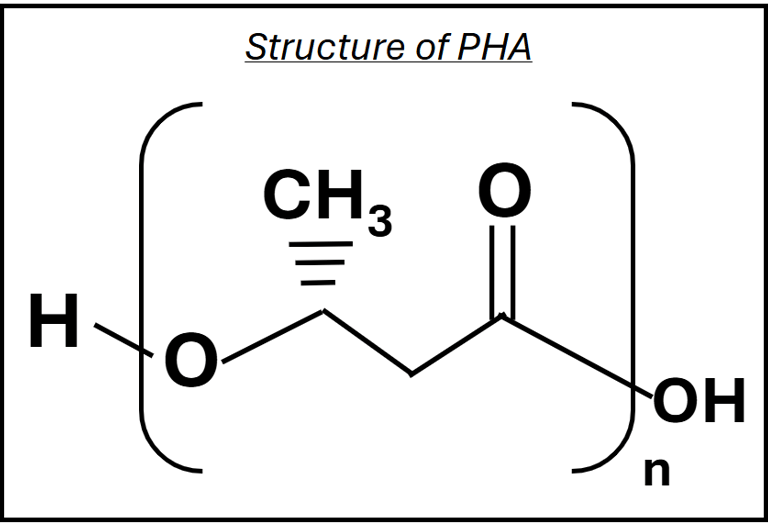 Chemical structure of PHA