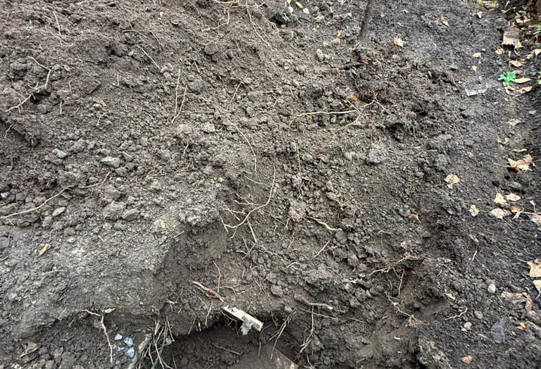 Photograph of a landscaper preparing to work in a garden, holding a shovel over a clean lawn, repres