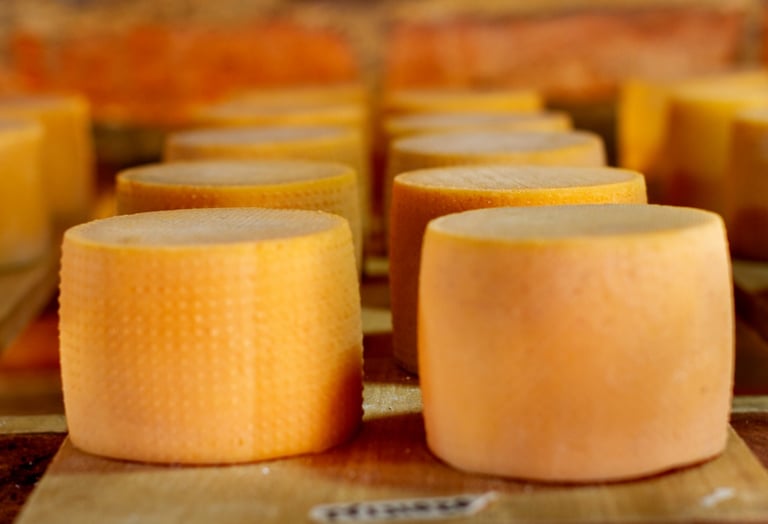 Rows of artisanal round cheese wheels aging on wooden shelves in a traditional cellar.