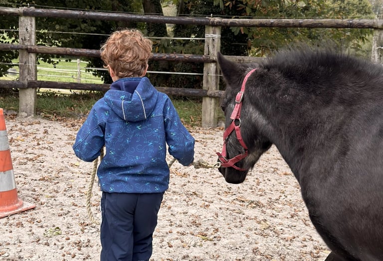 Parcours avec un poney 