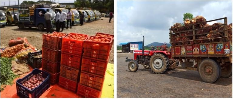 Streamlining the Agricultural Supply Chain: Connecting Farmers to Markets.
