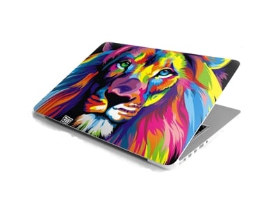 Laptop Skins