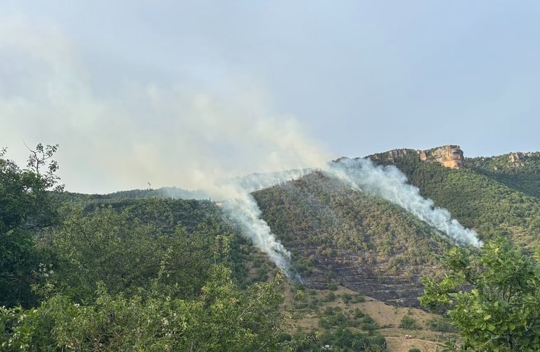 Fire burning above Nant
