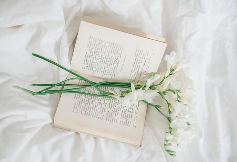 Minimal flat-lay with laptop and plant, symbolizing simple and supportive online business tools.