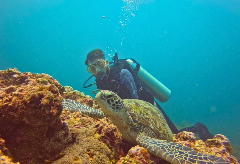 Scuba diver observing a green sea turtle resting on a vibrant coral reef in clear blue ocean water.