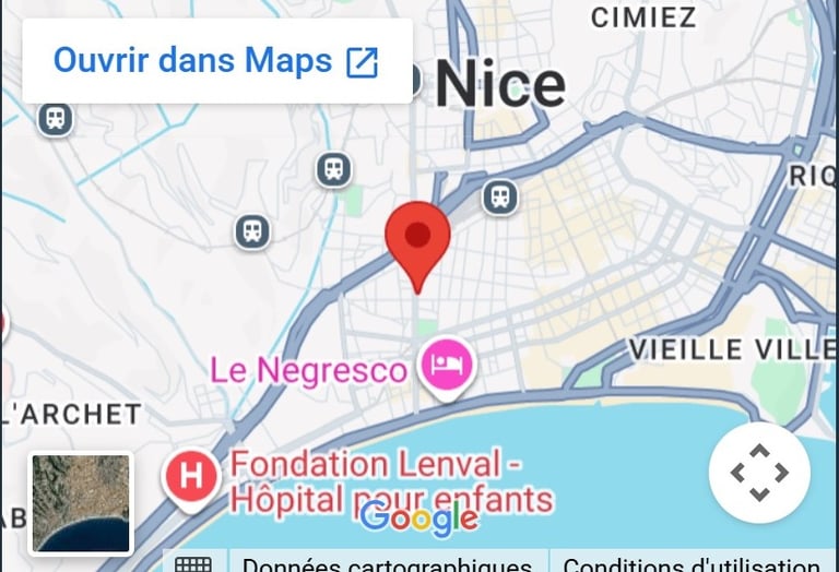 carte google map 40 Bd Gambetta 06000 Nice