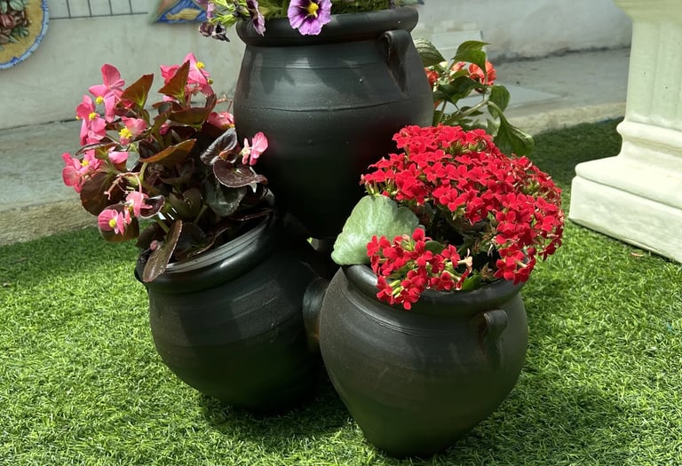 Pink and red flowers planted in rustic black ceramic pots on green artificial grass.