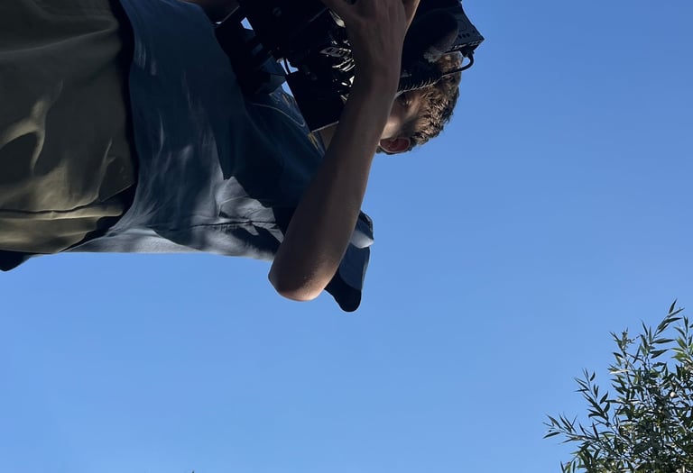 Professionele video's