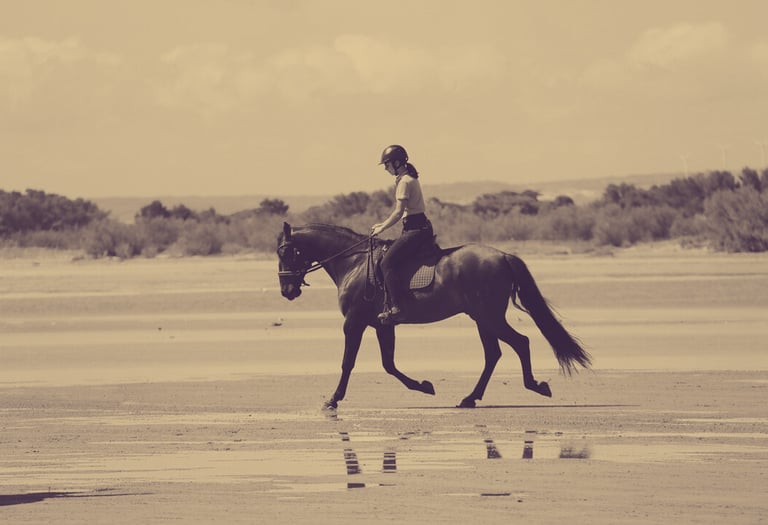 Massage cheval mobilité confort
