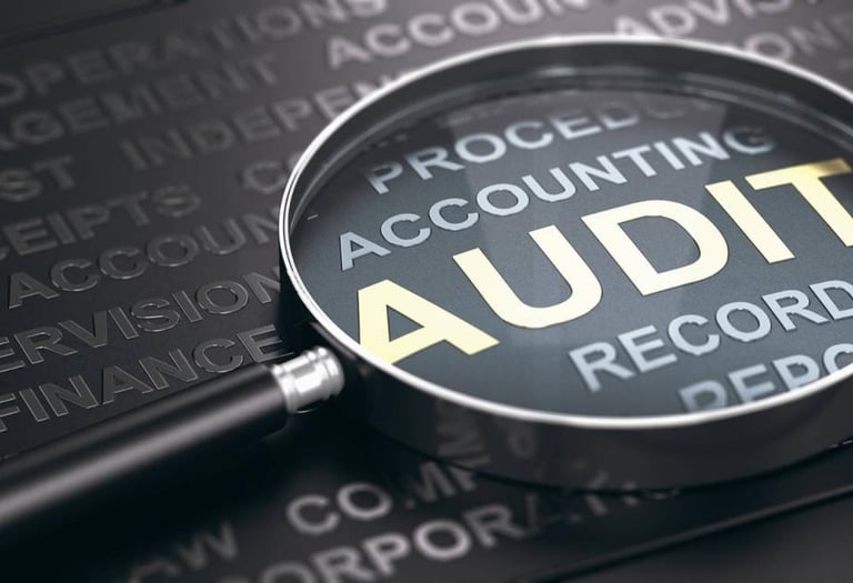 audit service provided by Chartered accountants kochi