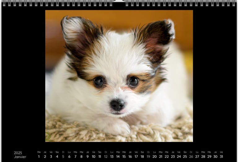 calendrier avec photo de chiot