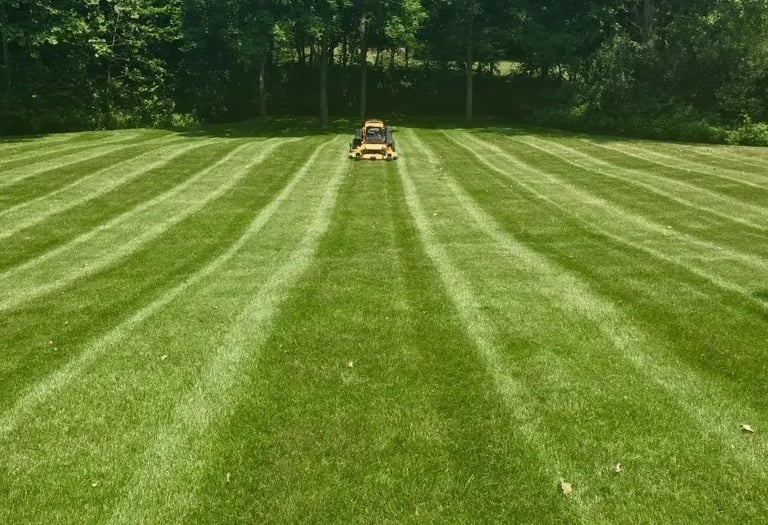 Freshly-cut lawn on a sunny day with my mower in the background.