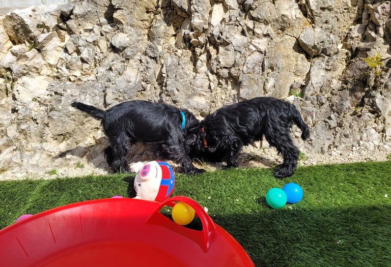 Découverte de la nature