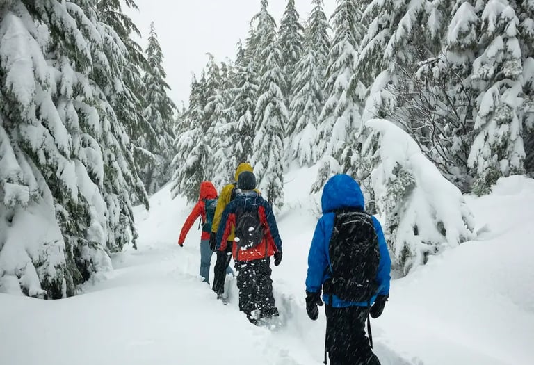 Collégiens en sortie raquettes au Grand-Bornand