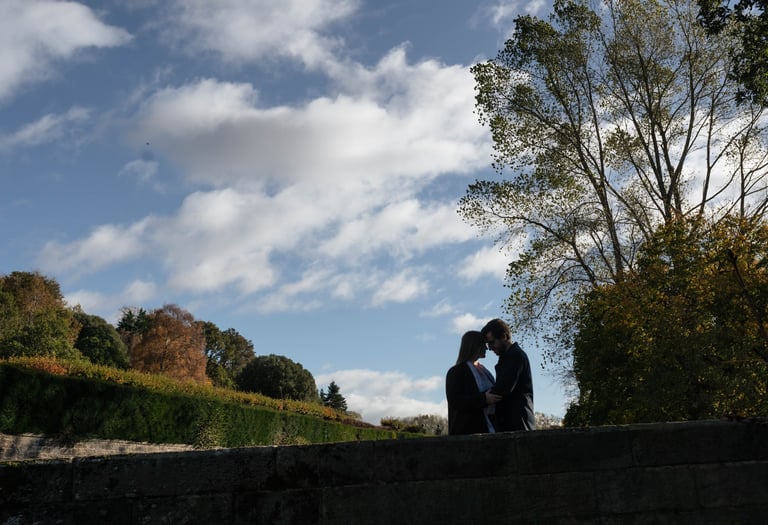 Silhouette of a romantic couple embracing on a stone wall in a scenic autumn park under a blue sky.