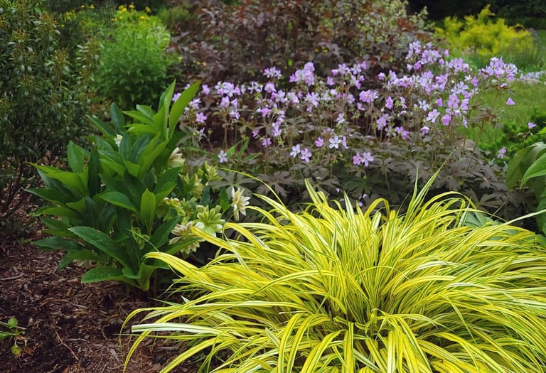 a garden with a bench and a bench in the middle of the garden