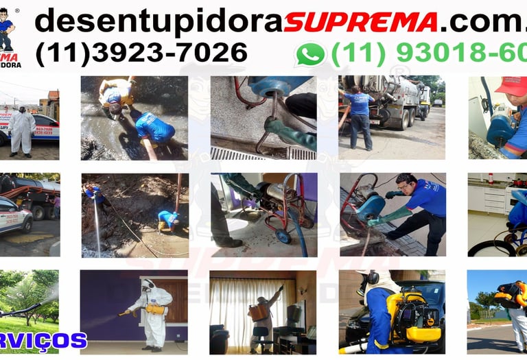 serviços de desentupimento