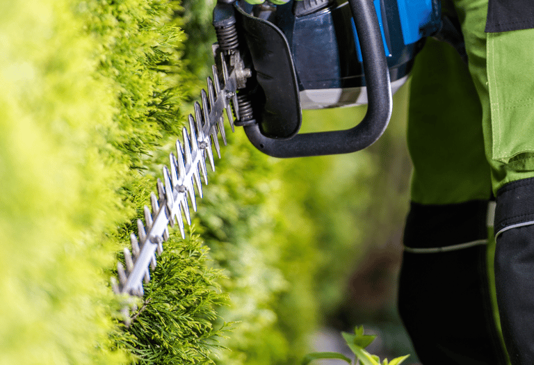 man using a hedge trimmer