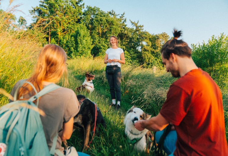 Hundetraining in der Gruppe – Social Walk und Gruppentraining in Göttingen mit Hundeschule Takoda