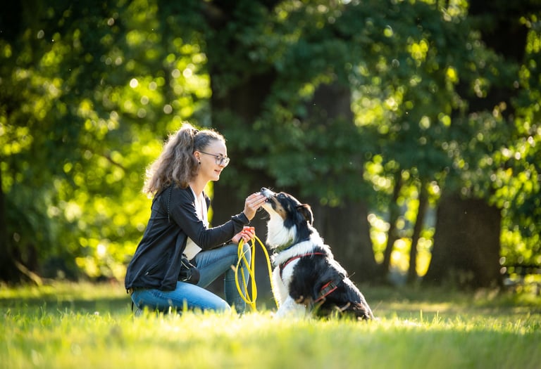 Trainerin beim Hundetraining im Alltag – Takoda Hundeschule Göttingen