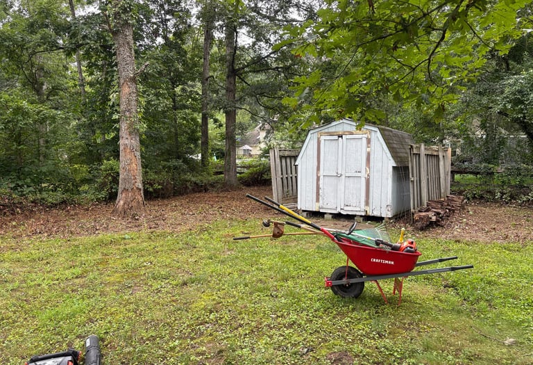 Southern Maryland overgrowth removal services clearing brush, weeds, and tall grass to restore a res