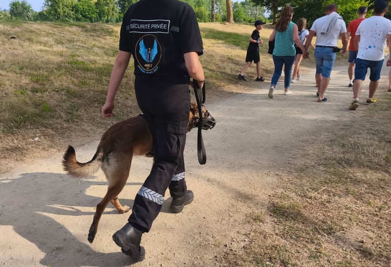 agent sécurité cynophile