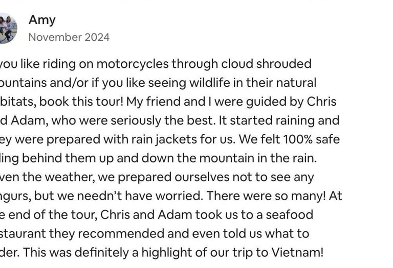 Beautiful review on airbnb.