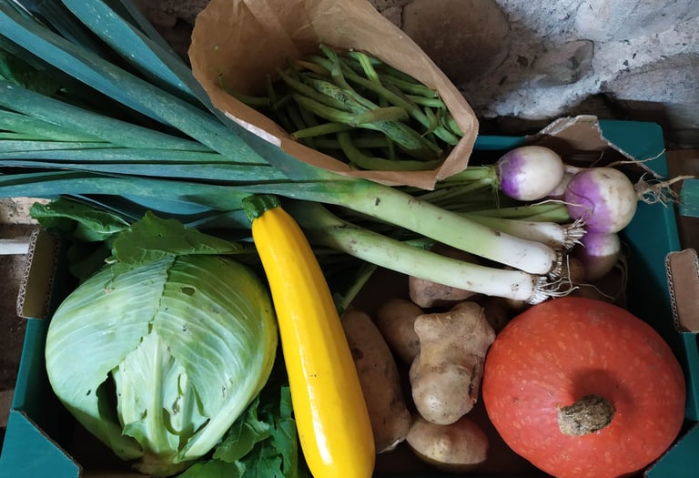 Panier de légumes bio