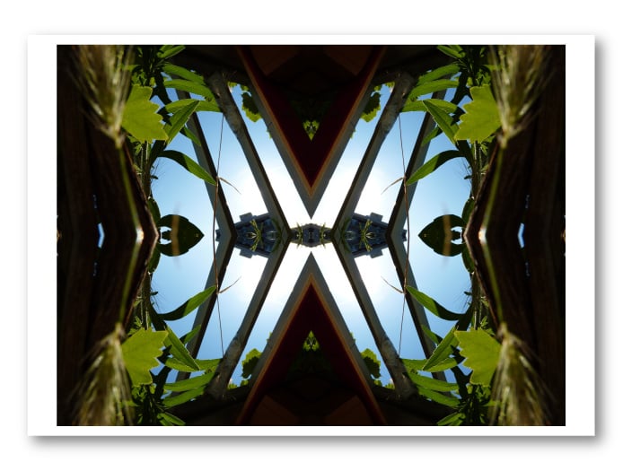 Reproduction Lamarcelle French Butterfly