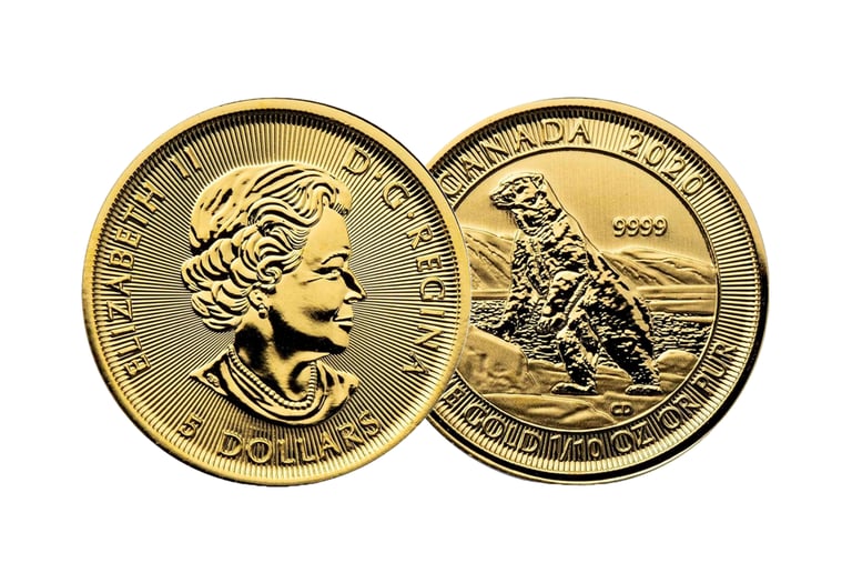 gold canadian polar bear coin