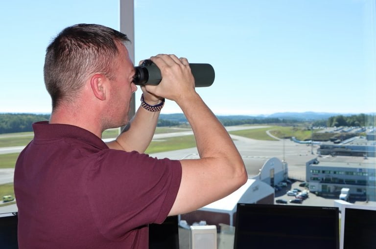 Roe Nerem consulting