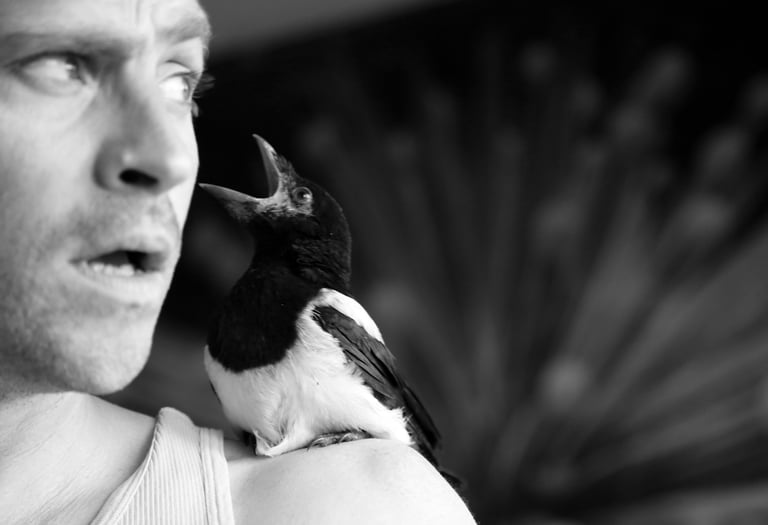 Portrait Claude Cattelain Artiste Art contemporain