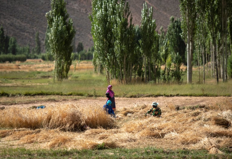 Rural women in agriculture
