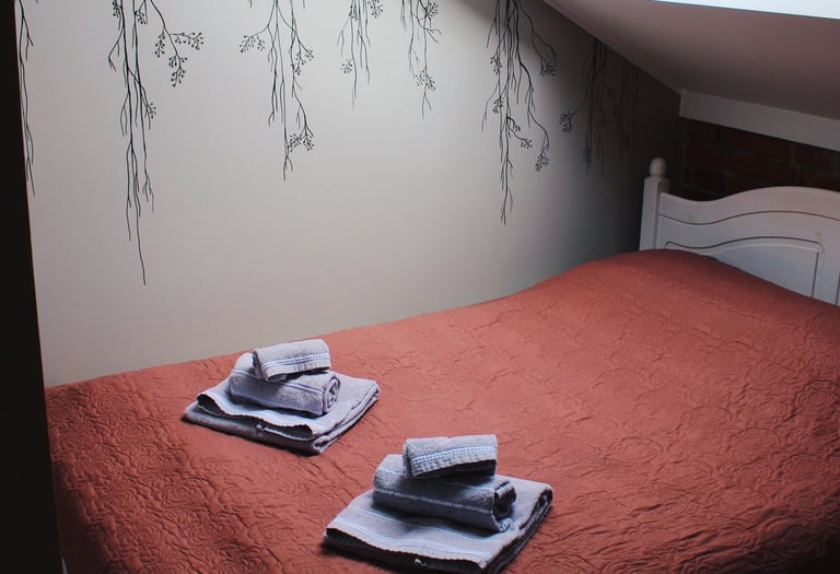 Külalistemaja tuba 1