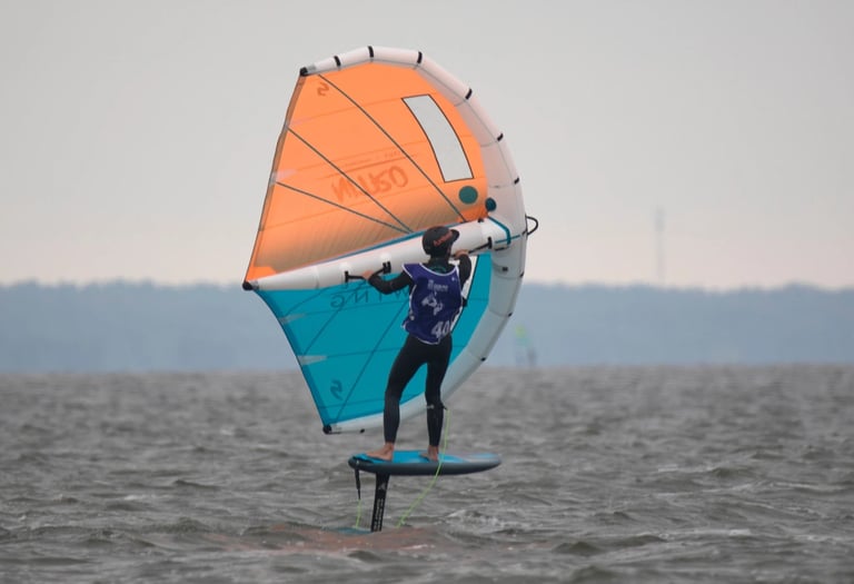 Mokytojas rodo pagrindinius wing foil valdymo principus ant kranto