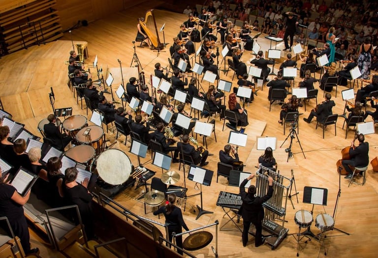 orchestre avec harpe