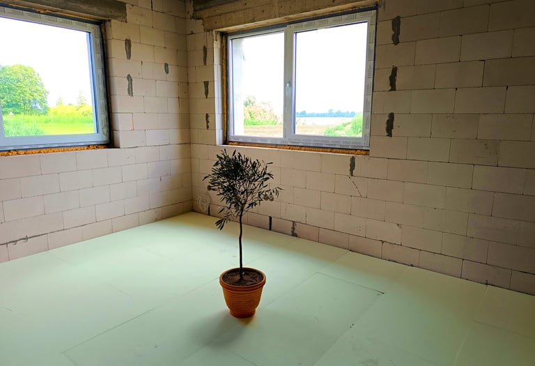 Augalas polistirolas grindys blokeliai langai