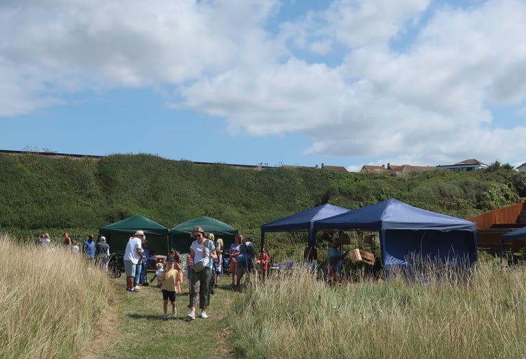 Visitors to Brickfield Summer Wildlife Fair