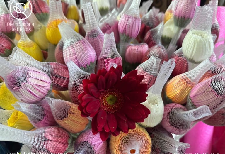 flores al por mayor Alcalá
