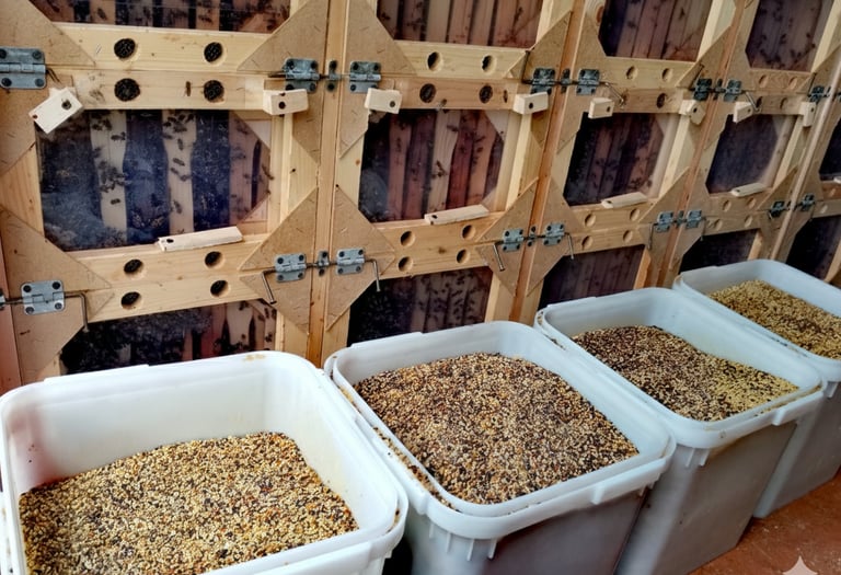 BeePolis. Pollen collection. A box of pollen. A lot of pollen