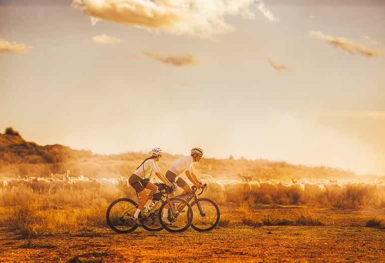 Two cyclists riding gravel bikes across a dusty field at sunset with a herd of sheep behind.