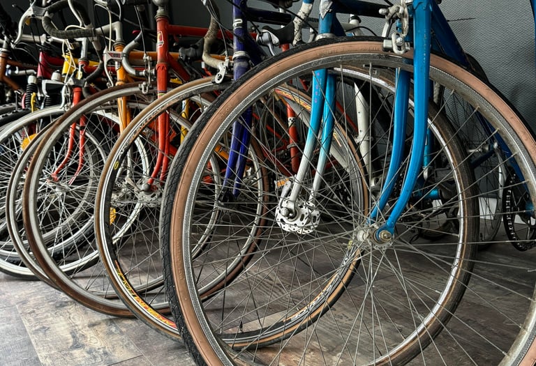 A row of vintage road bikes with thin tires and drop handlebars lined up in a bicycle shop.