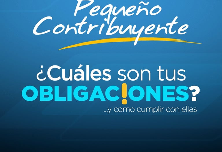 Informative SAT Guatemala graphic about tax obligations for the Pequeño Contribuyente category.