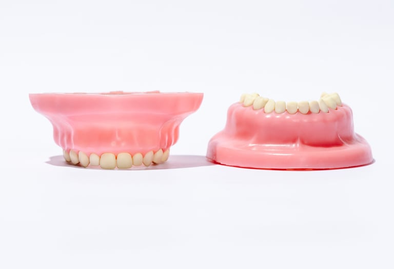 24 dientes pediátricos intercambiables con nervio y cámara pulpar.